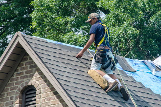 Professional Roofing Contractor in Bella Vista, AR